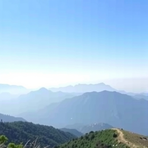 กราฟการเงินที่มีปริมาณการซื้อขายสูง